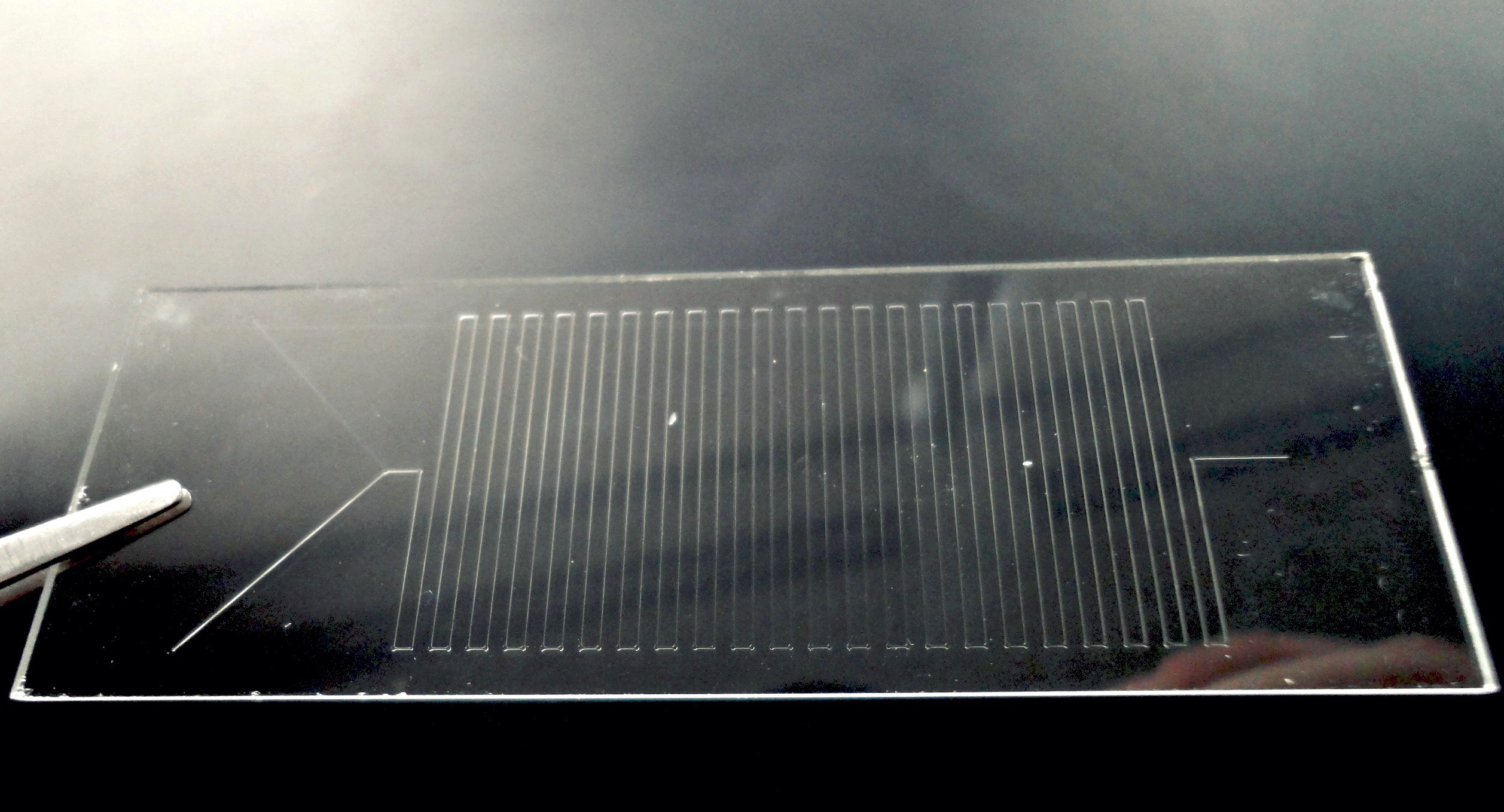 A microfluidic chip fabricated using the direct laser writing system.