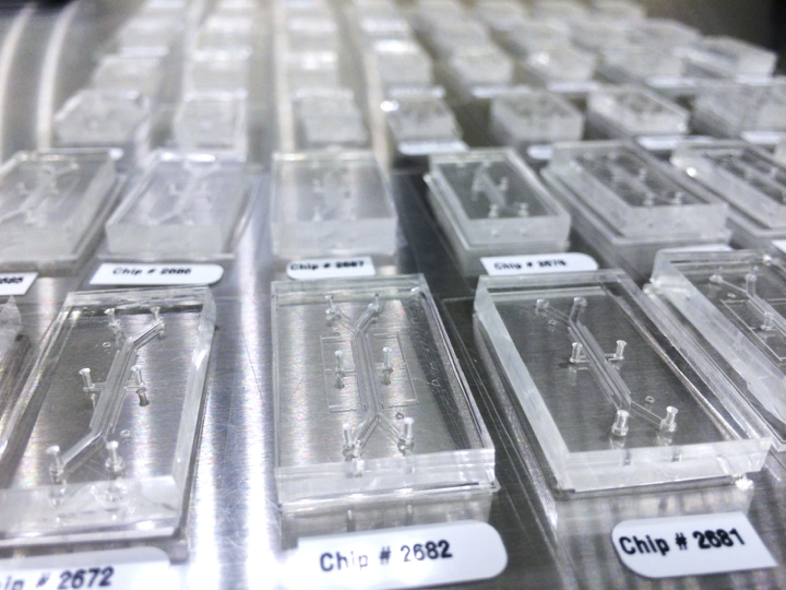 Many microfluidic chips ready for use.